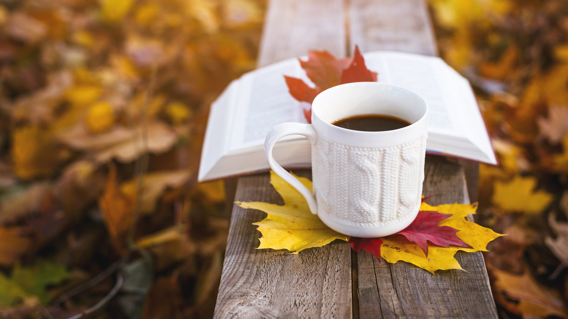 Осеннее утро картинки красивые. Осеннее утро. Осенний кофе. Утро кофе осень. Осенняя чашка.