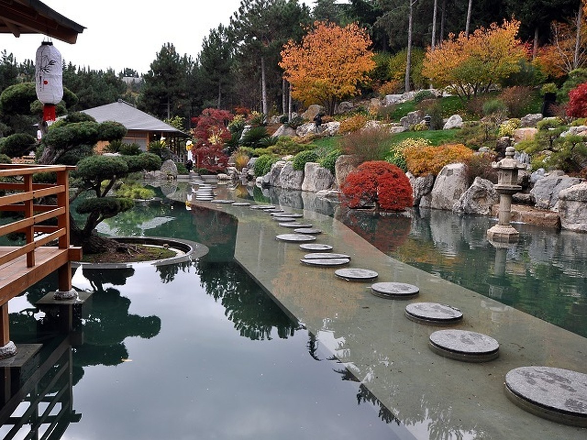 японский сад ялта фото