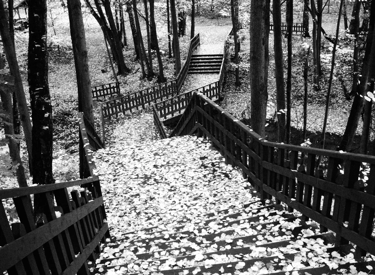 Есть в старом парке черный. Парк черно белый. Черно белая осень. Осенний парк черно-белые. Эстетика чёрного и белого парк.