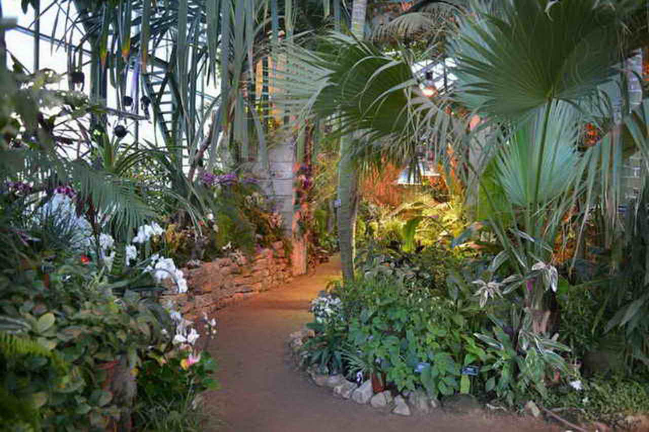 ботанический сад москва зимой