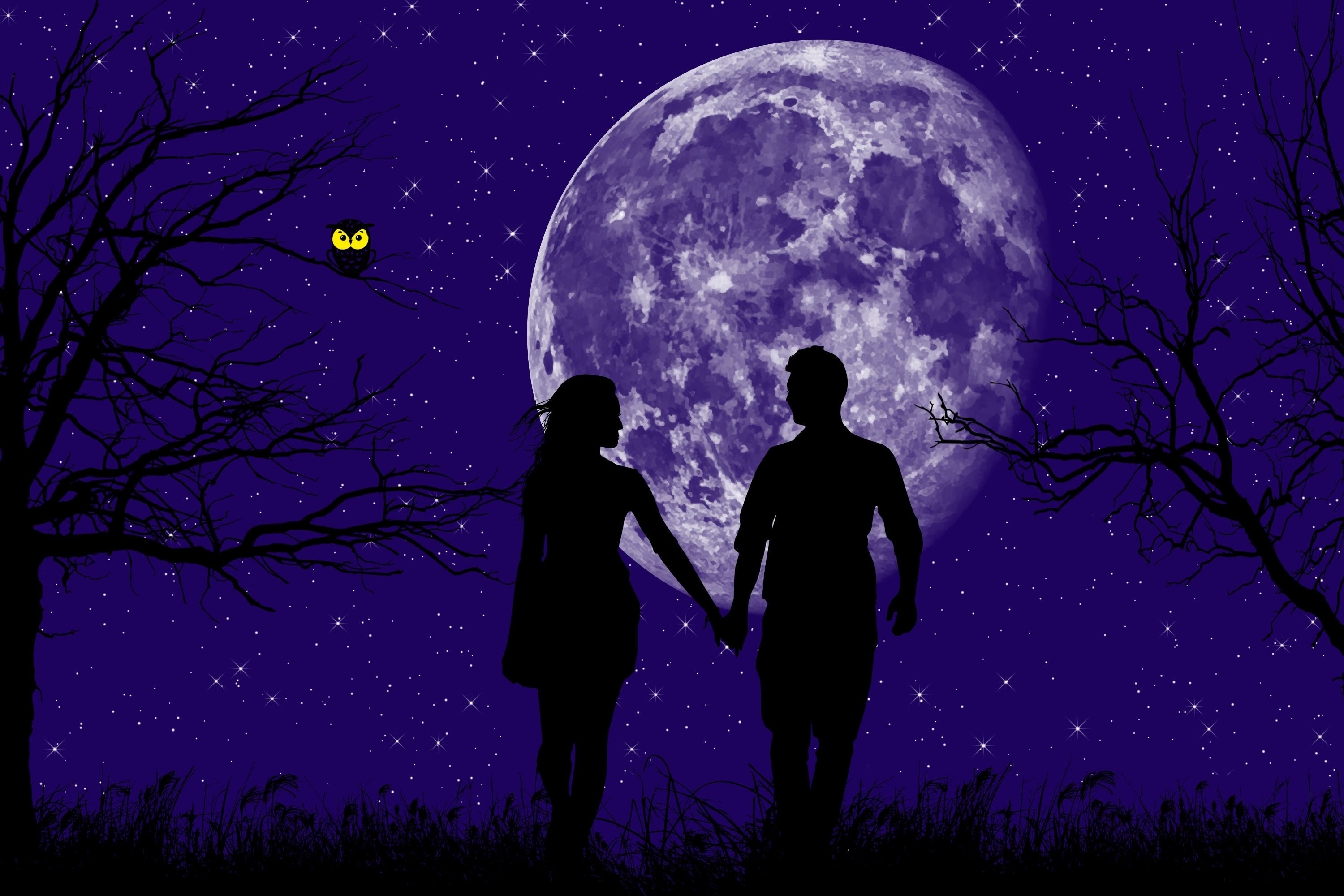 Песня ночь и двое в путь. Луна и влюбленные. Влюбленные ночью. Романтичная ночь. Прогулка под луной.