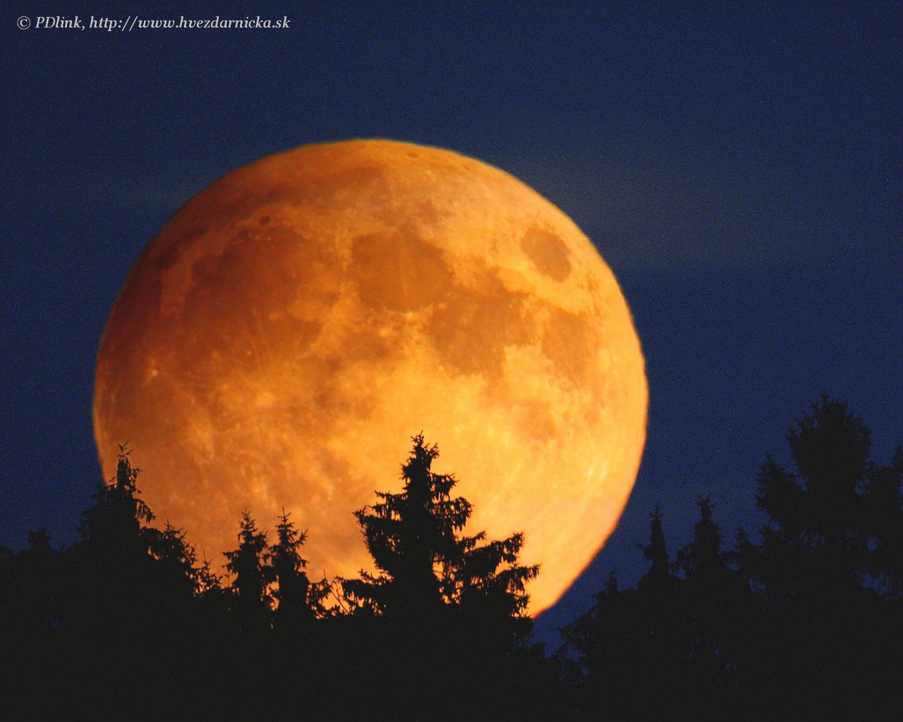 Большая оранжевая луна. Суперлуние 14.06.22. Оранжевая Луна. Огромная оранжевая Луна. Желтая Луна.
