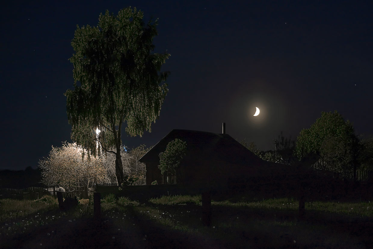Вечер переходящий в ночь. Ночь в деревне. Летняя ночь в деревне. Лунная ночь в деревне. Дерево ночью.