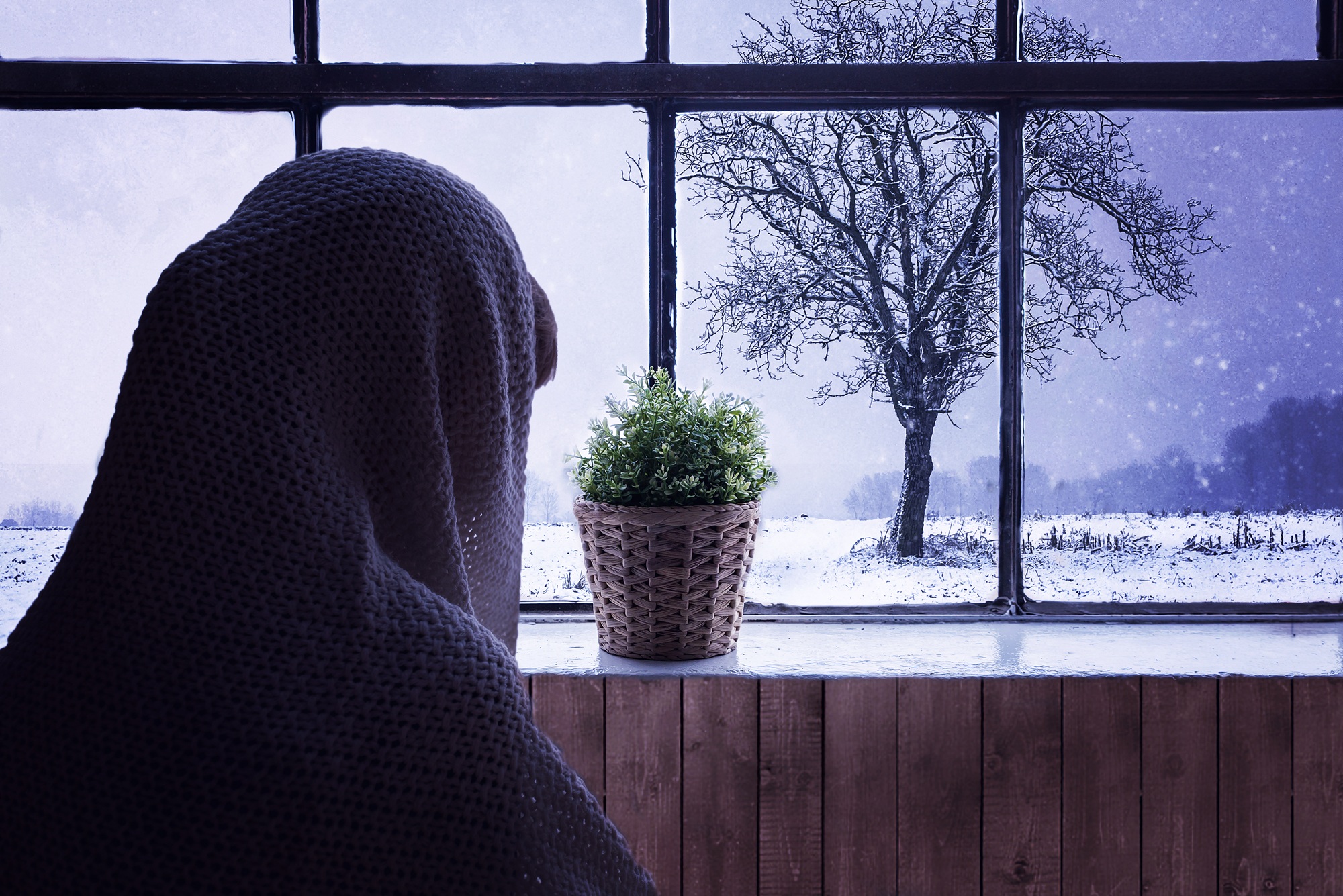 К чему снится видеть окно. Снег за окном. Окно зимой. Зима за окном. Окно вечер.