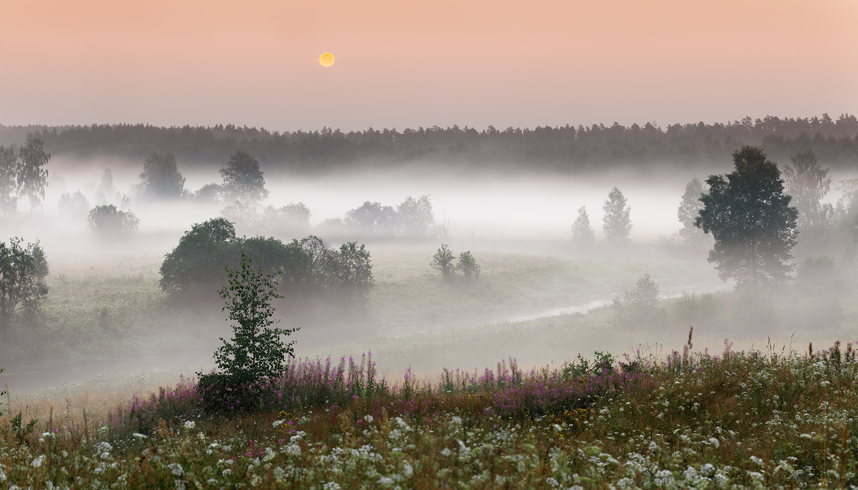 Асафатов - туман. Кенозерский национальный парк рассвет туман. Рассветный туман на Каменке. Суздаль.. Туманное утро Фет.