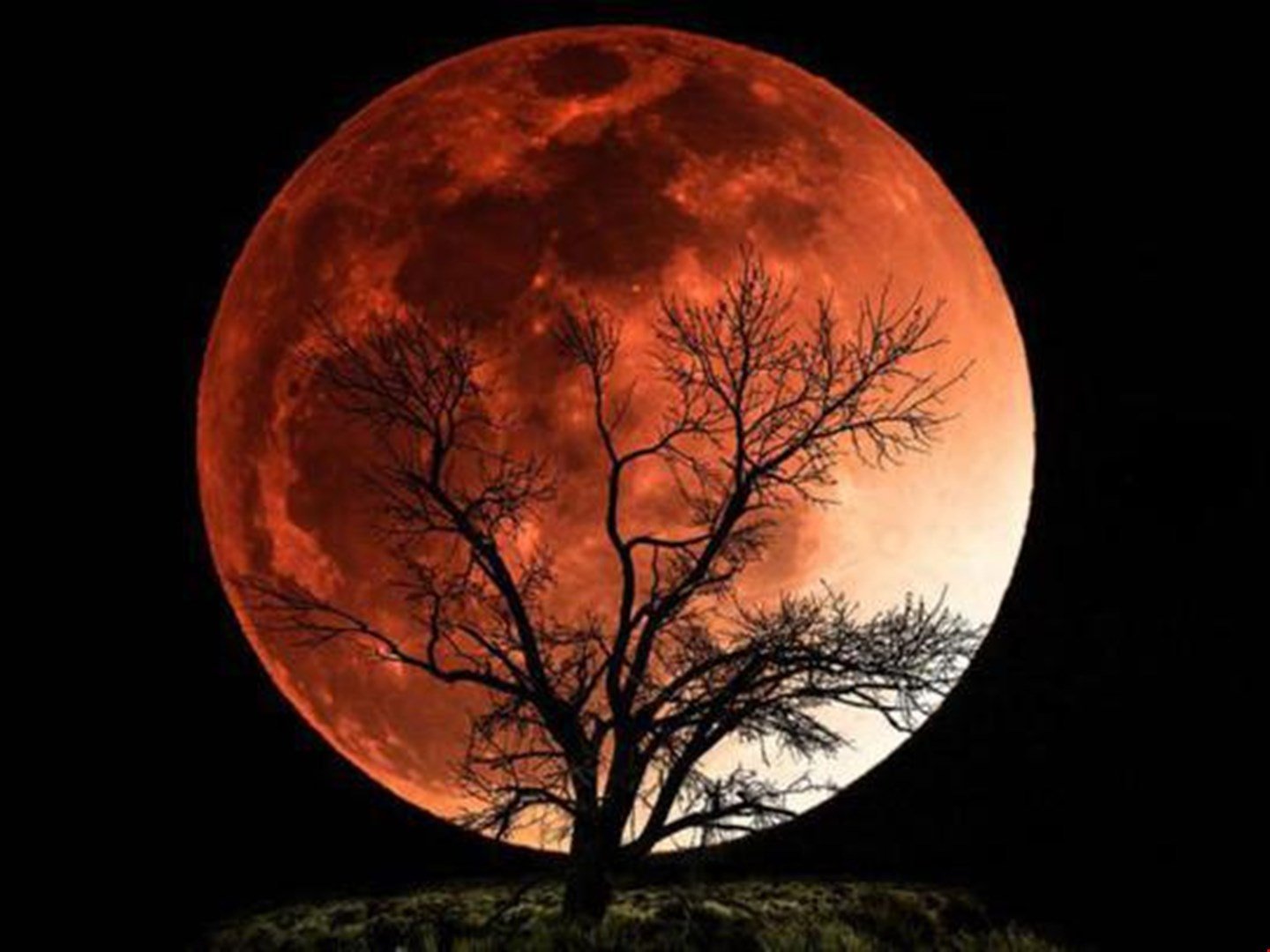 Купить кровавая луна. Лунное затмение Кровавая Луна. Кроваво- красная киллеровская Луна. Багровая Луна. Полнолуние красная Луна.