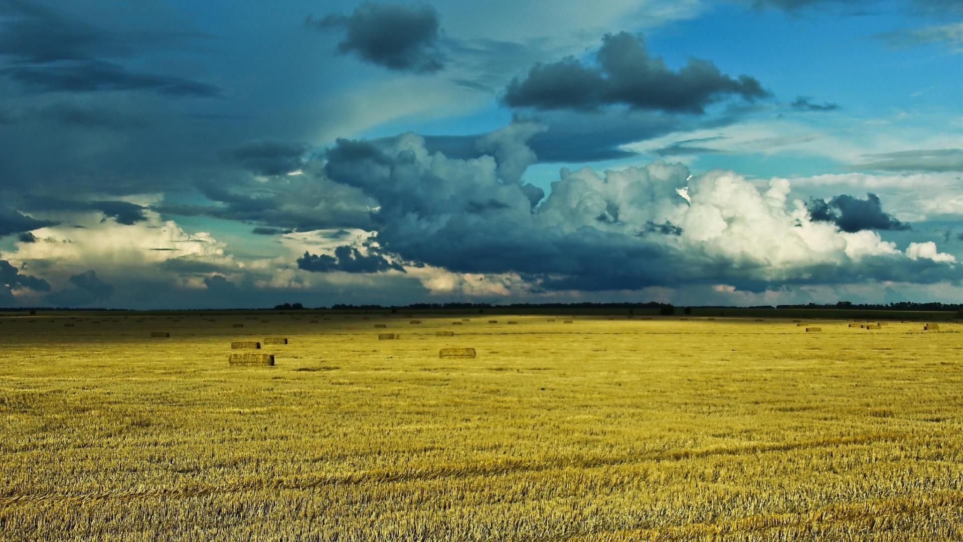 Украинцы в поле. Пейзажи Украины. Поле и небо Украина. Красивые пейзажи Украины. Природа Украины фото.