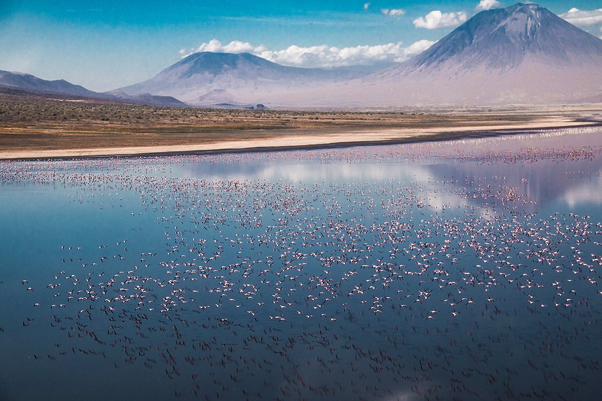 фото озеро натрон в танзании