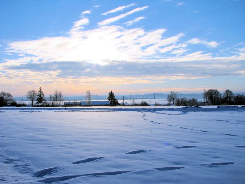 Зимний пейзаж Горизонт по середине