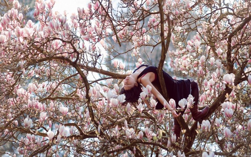Девушка цветущее дерево