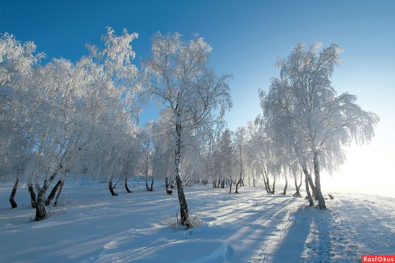 Башкирская природа зимой