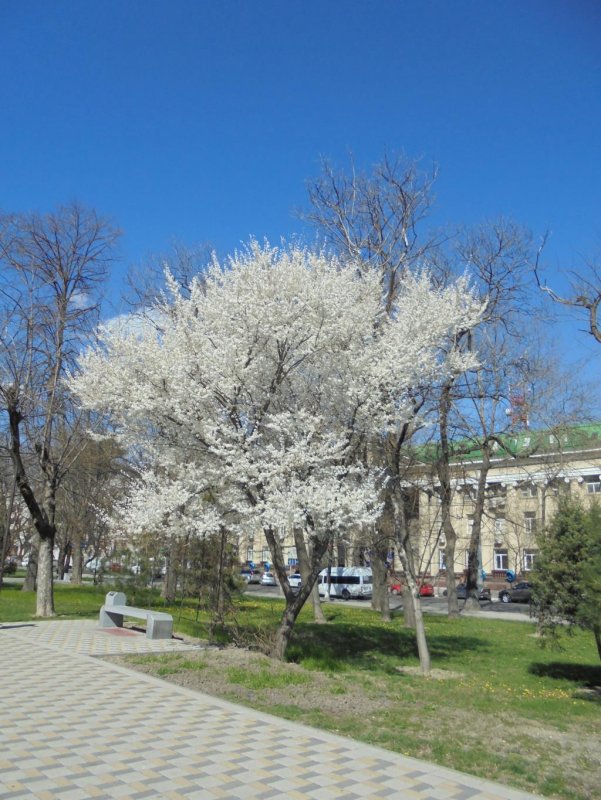Новороссийск весной