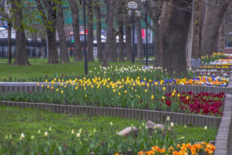 Новороссийск весной