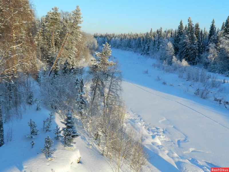 Природа Печора Коми зима