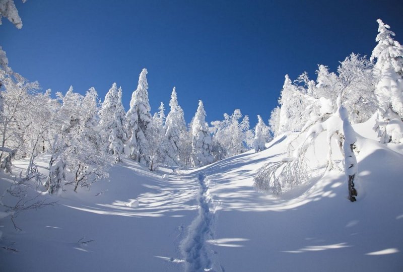 Сахалин природа зима