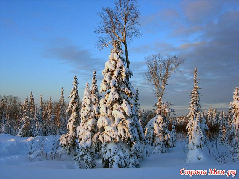 Сахалинская зима
