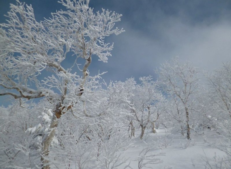 Зимний пейзаж Сахалин
