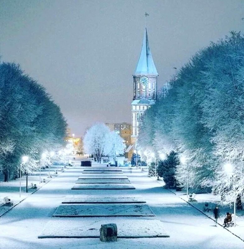 Кафедральный собор Калининград зима