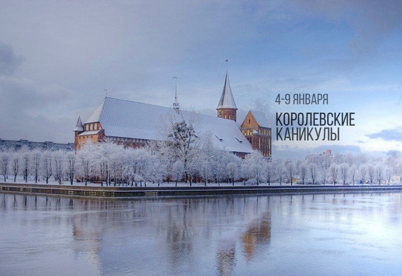 Зима в городе Калининграде