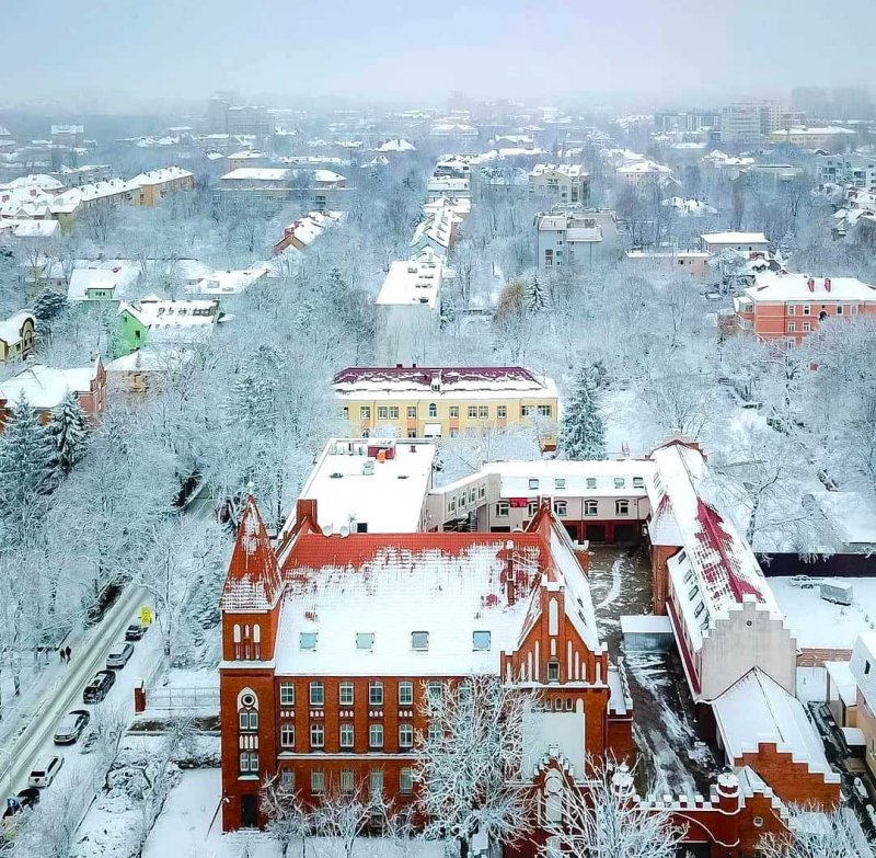 Снежный Калининград