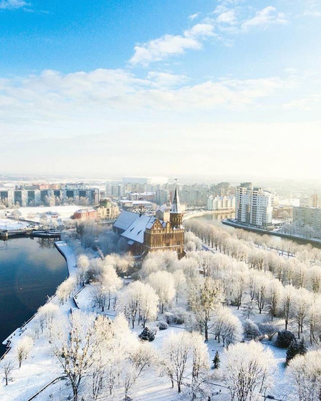 Калининград зима 2019