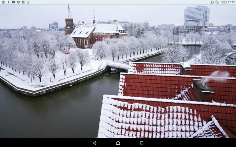 Калининград зима 2022