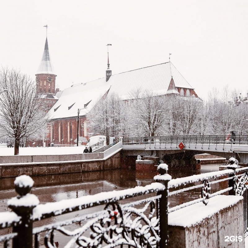 Медовый мост Калининград зимой
