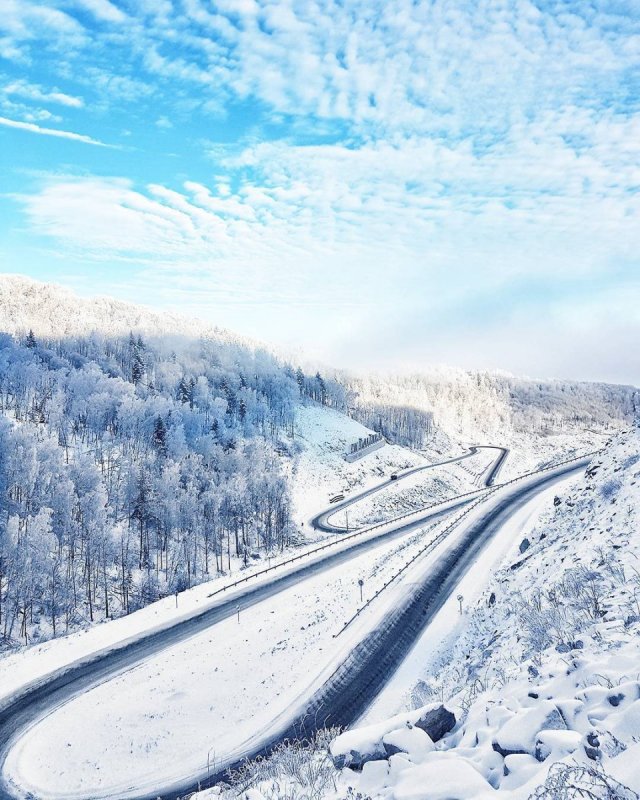 Алтайский край зима Белокуриха