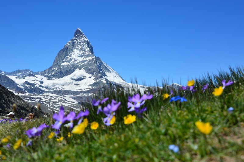 Швейцария гора Маттерхорн Весна