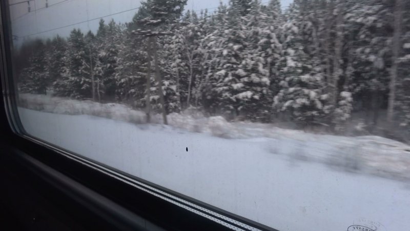 Вид из окна поезда зимой