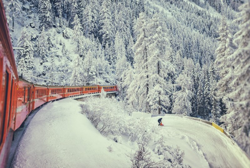 Зимний лес из окна поезда