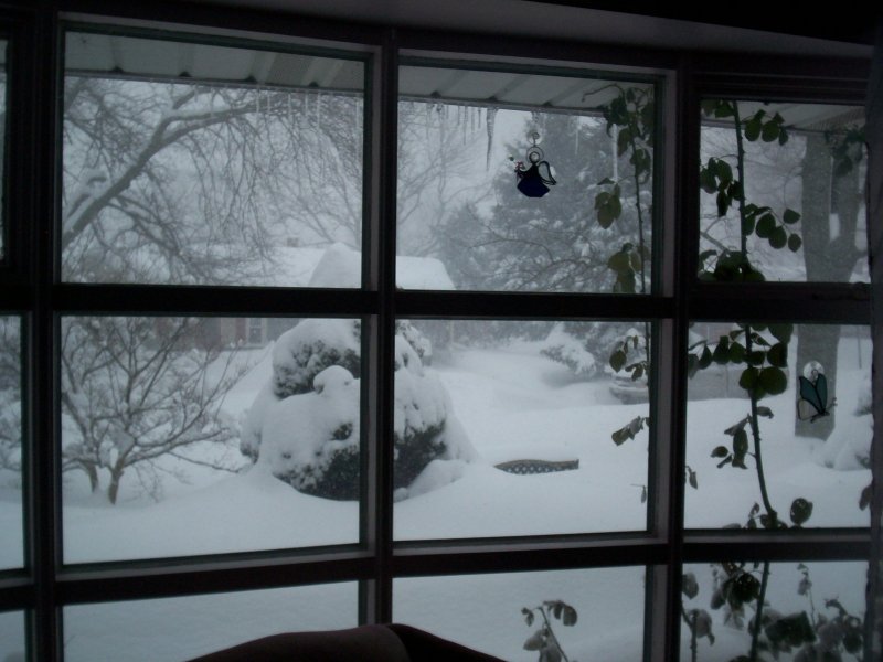 Уютный зимний вид из окна