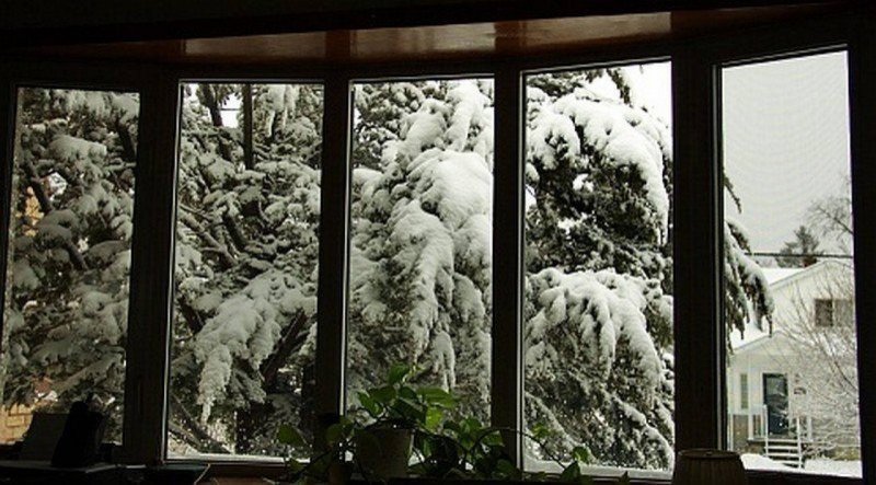 Снег за окном