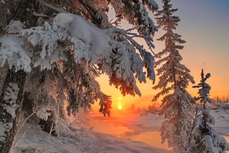 Сибирь Иркутская область зима Тайга лес