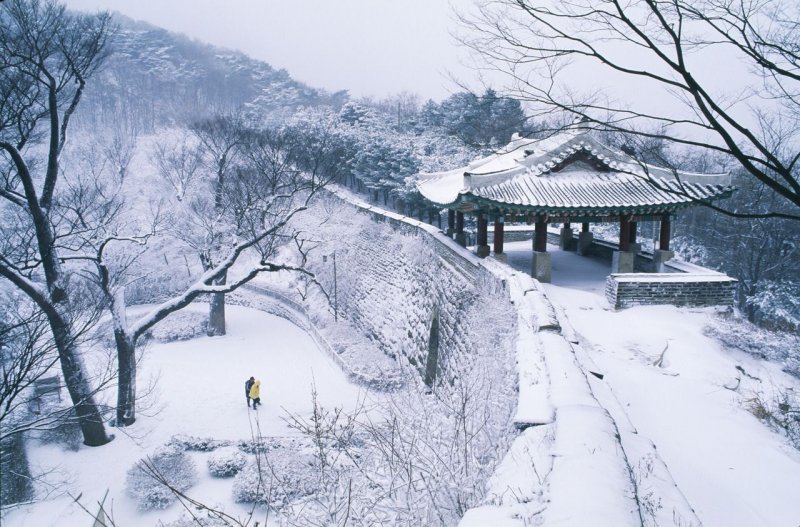 Природа Кореи зимой
