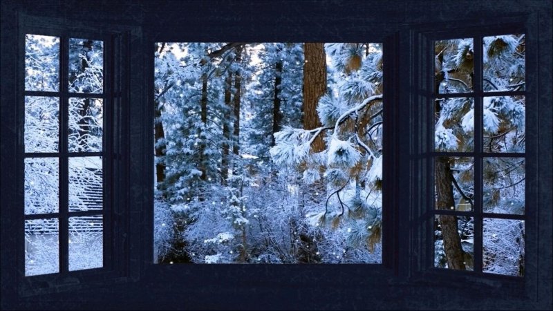 Вид из панорамного окна зима