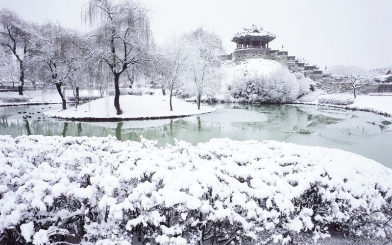 Корея климат зима