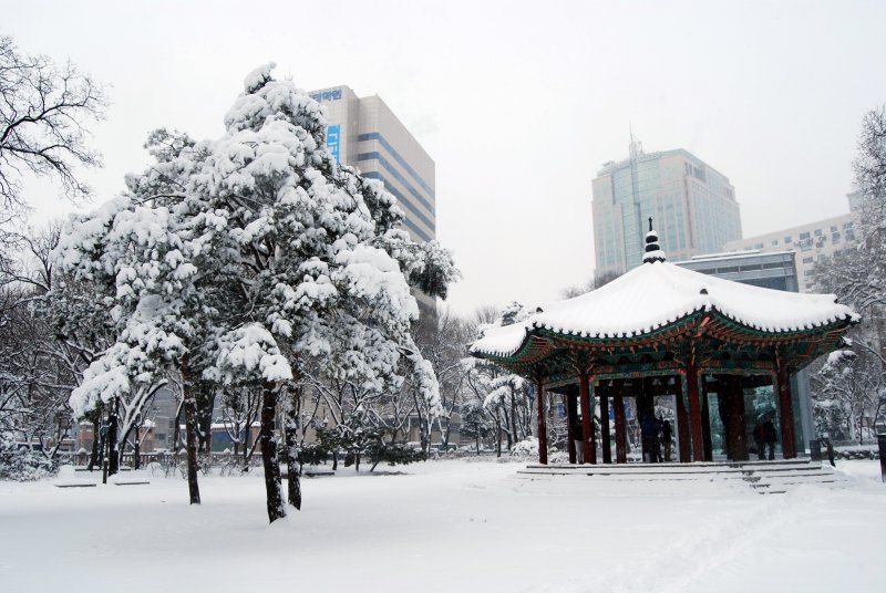 Зима в Южной Корее Сеул