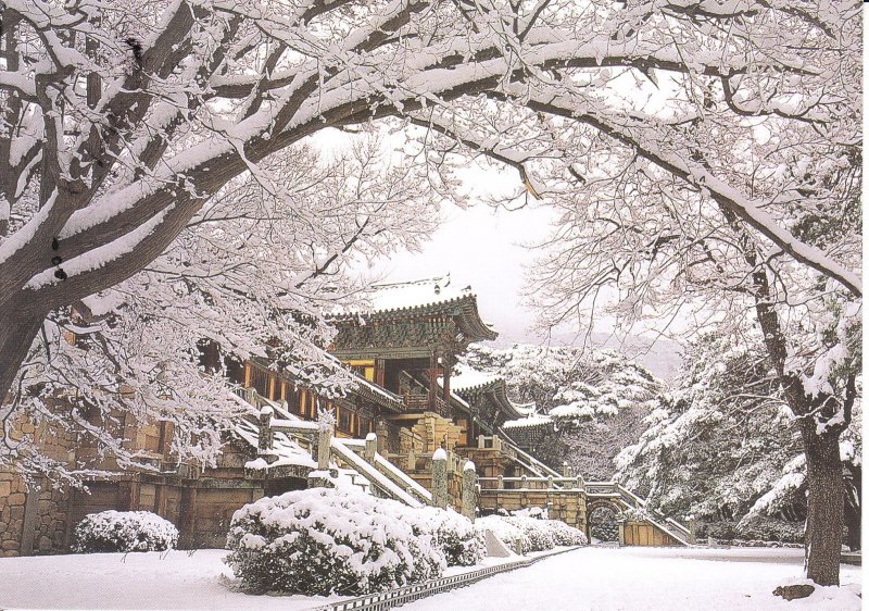 Южная Корея природа зима