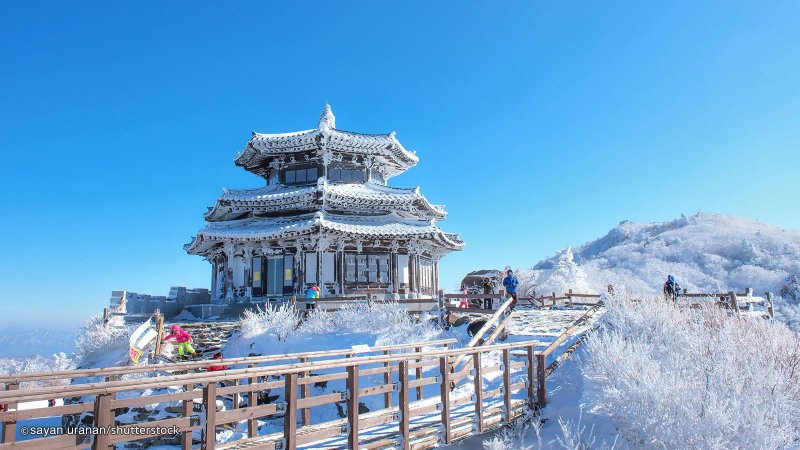 Корея зимой 2021 Сеул улицы