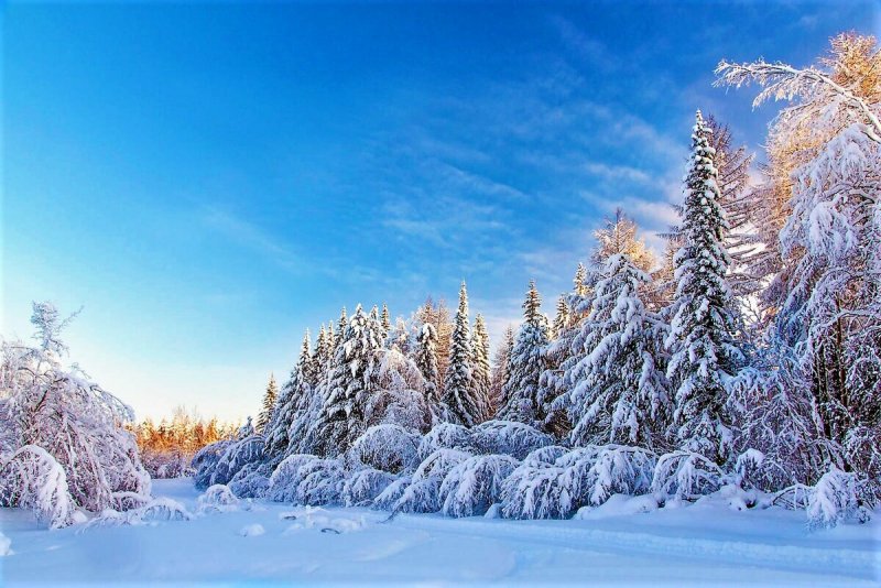 Сибирская Тайга зимой