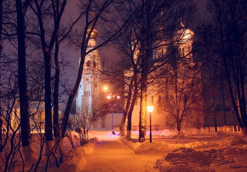 Вологда парк ночь зима