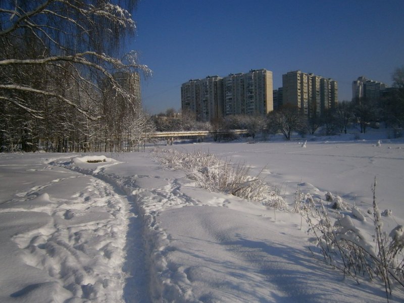 Балашиха центр города зимой