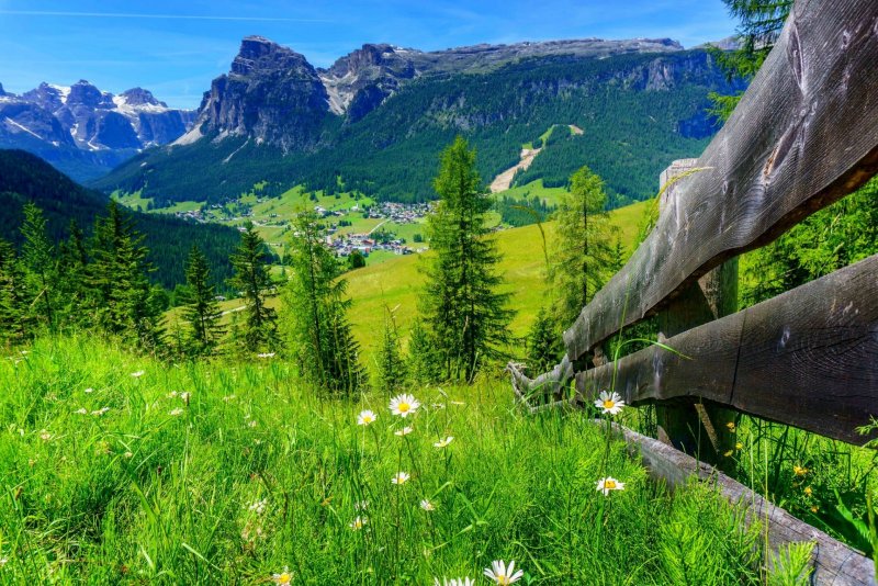 Природа Швейцарии деревья холмы горы