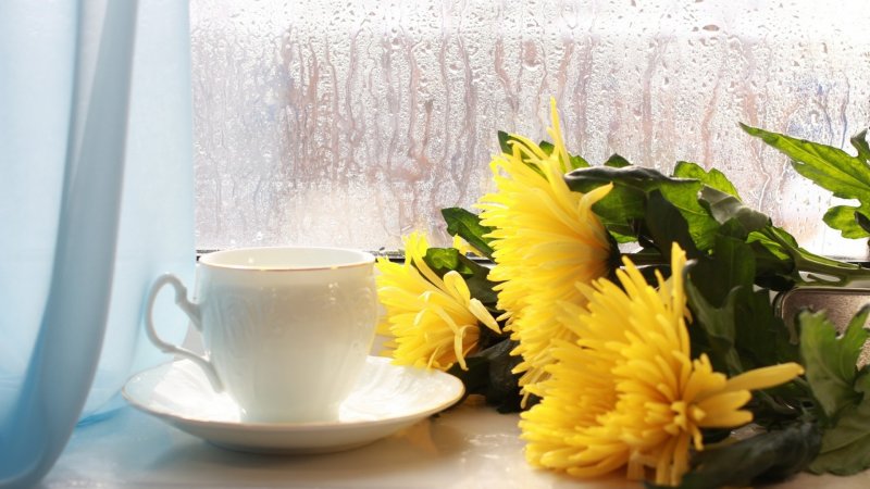 Доброе утро кофе и хризантемы