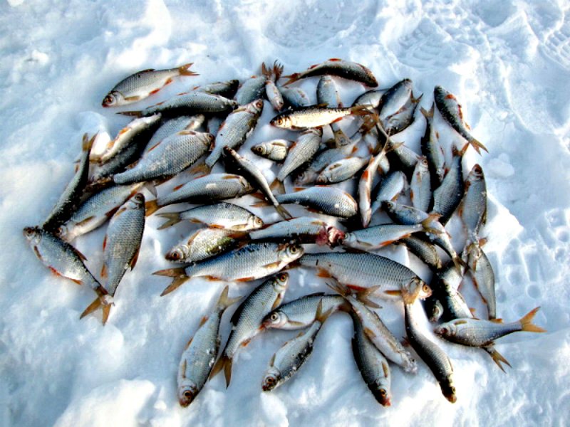 Зимняя рыбалка закат
