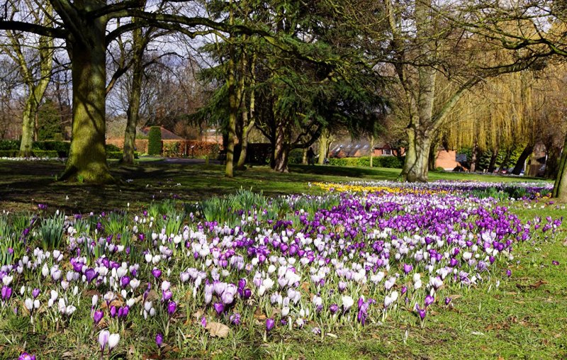 Сады Британии ранняя Весна