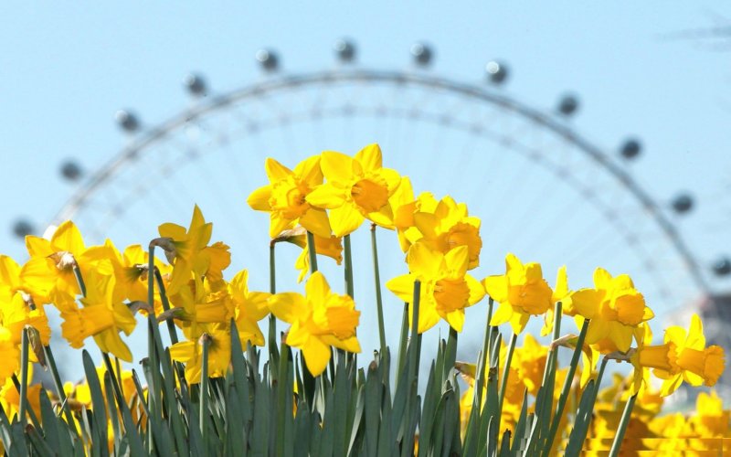 Солнечная Англия Весна