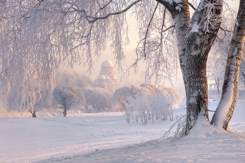 Муринский парк в Санкт-Петербурге зимой