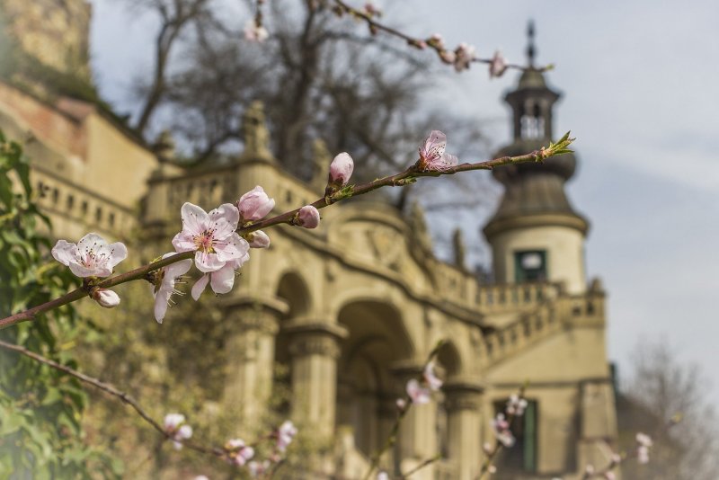 Цветущая Прага апрель